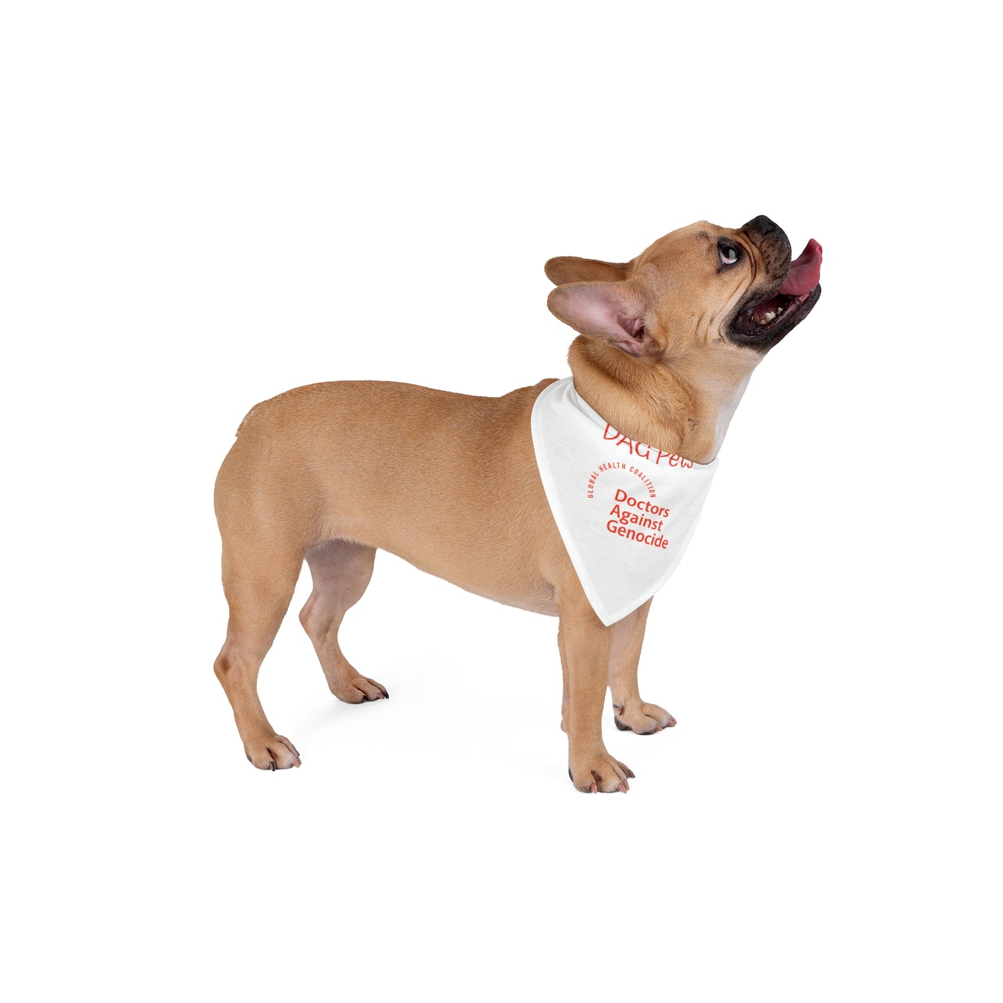 DAG Pet Bandana