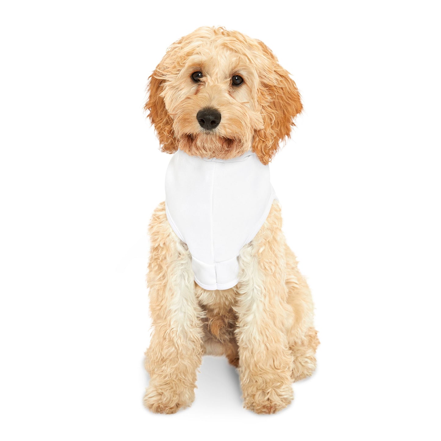 DAG Logo - Pet Hoodie